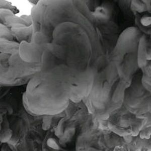 Meet your Posher, Sierra